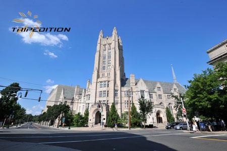 紐約市打擊優(yōu)步和其他乘車(chē)應用程序