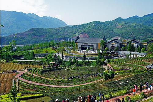 向到場(chǎng)的游客充分展示了內蒙古文化和旅游的融合之美