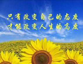 改變睡眠態(tài)度已經(jīng)在創(chuàng  )造新的城市建筑類(lèi)型