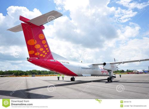 印度國內航空公司SpiceJet引入了移動(dòng)支付功能同時(shí)考慮到乘客的便利性