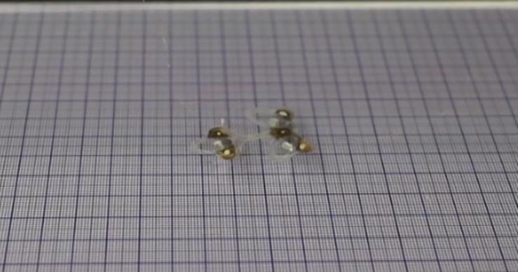 一種柔軟的機械昆蟲(chóng) 可通過(guò)蒼蠅拍壓扁而幸存