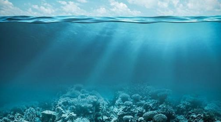 該機器人可以在未開(kāi)發(fā)的海域進(jìn)行研究
