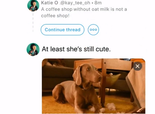 Twitter推出繼續線(xiàn)程功能以鏈接舊推文