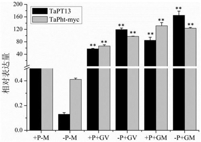 ACT光纖網(wǎng)絡(luò )修改了班加羅爾的寬帶計劃