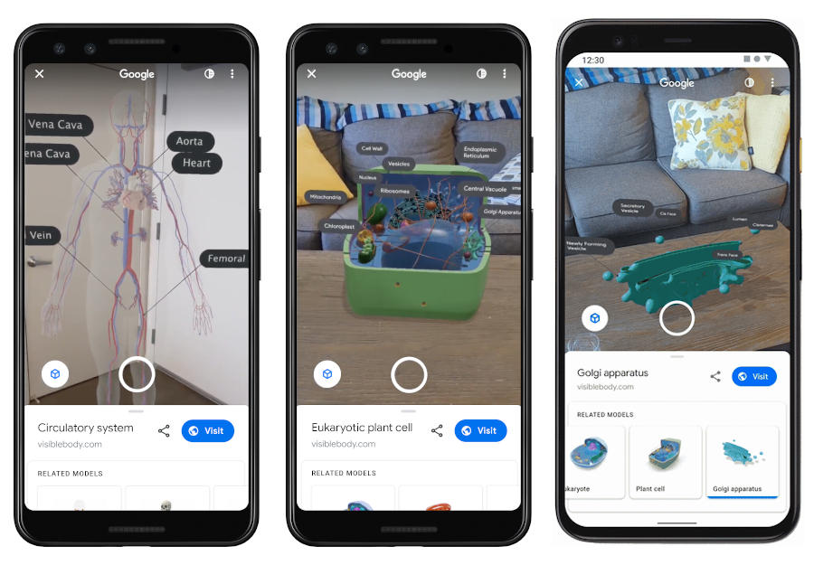 Google搜索新的AR內容可讓孩子們邊玩邊學(xué)