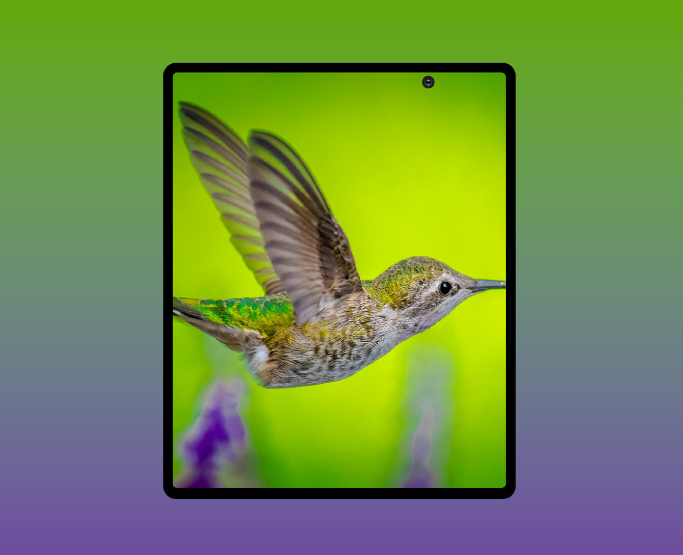 三星Galaxy Fold 2通過(guò)3C認證；可以在8月5日發(fā)射