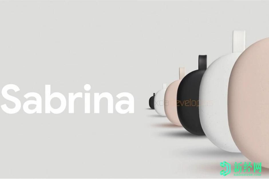 谷歌的“ Sabrina” Android TV軟件狗可能比最初預期的便宜很多