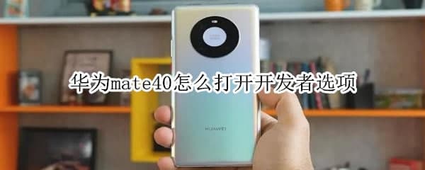 華為mate40怎么打開(kāi)開(kāi)發(fā)者模式_簡(jiǎn)單幾步就能搞定!