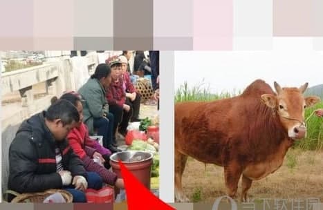 科技資訊：淘寶直播怎么看回放 讓你不會(huì )錯誤任何瞬間
