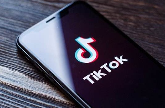 TikTok推出了為癲癇患者開(kāi)發(fā)的新功能