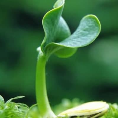 2021年立春時(shí)間是幾點(diǎn)幾分幾秒？