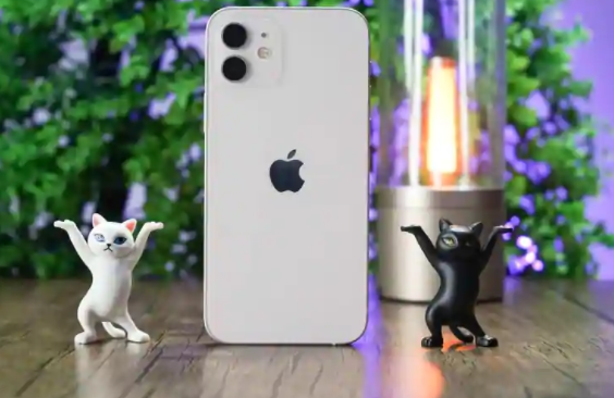 盡管iPhone 12 Mini銷(xiāo)量低迷，蘋(píng)果仍可能推出iPhone 13 Mini