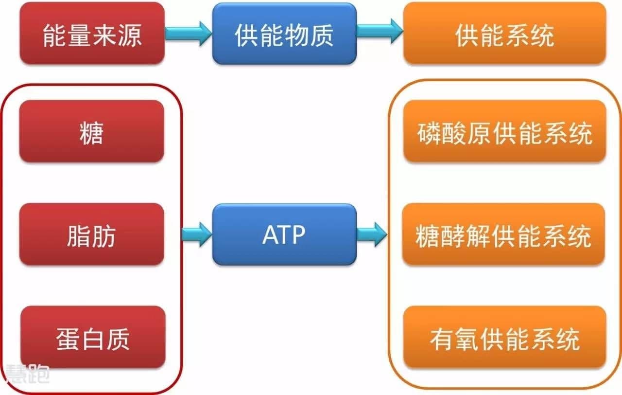 無(wú)氧運動(dòng)和有氧運動(dòng)有何區別?選擇哪個(gè)更好?專(zhuān)家終于講出實(shí)話(huà)!