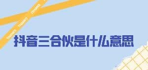 抖音三合伙什么意思