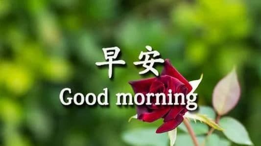 早上問(wèn)好的撩人情話(huà)有哪些？