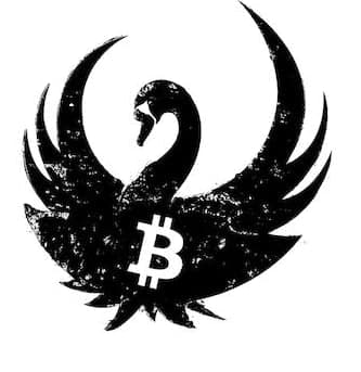 比特幣是騙局？無(wú)法對沖膨脹黑天鵝稱(chēng)其為龐氏騙局